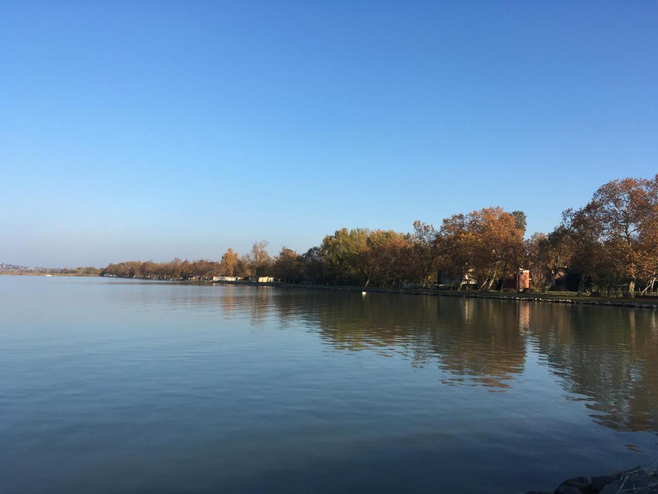 Balatoni Retro Villa Balatonfenyves Eksteriør billede